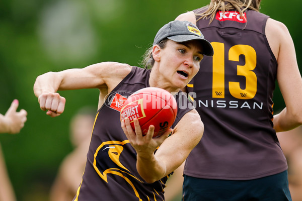 AFLW 2024 Training - Hawthorn 171024 - A-55320667