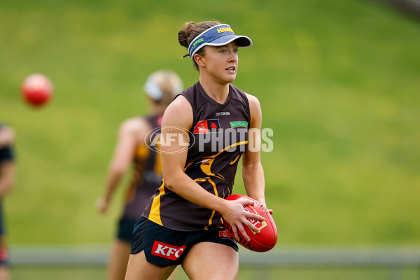 AFLW 2024 Training - Hawthorn 171024 - A-55320668