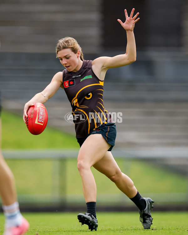 AFLW 2024 Training - Hawthorn 171024 - A-55320669