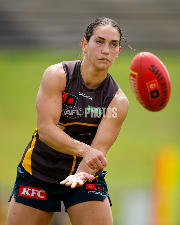 AFLW 2024 Training - Hawthorn 171024 - A-55320673