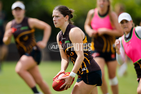 AFLW 2024 Training - Hawthorn 171024 - A-55323260