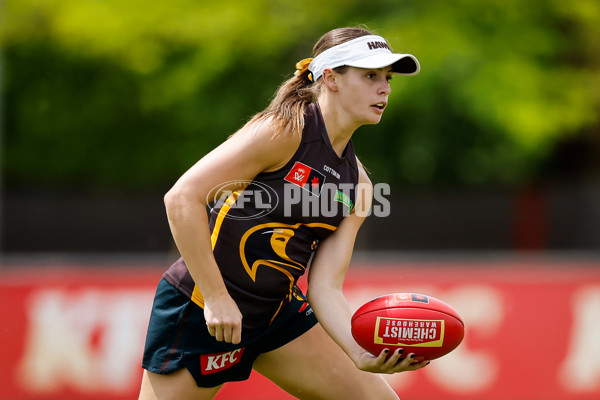 AFLW 2024 Training - Hawthorn 171024 - A-55323261