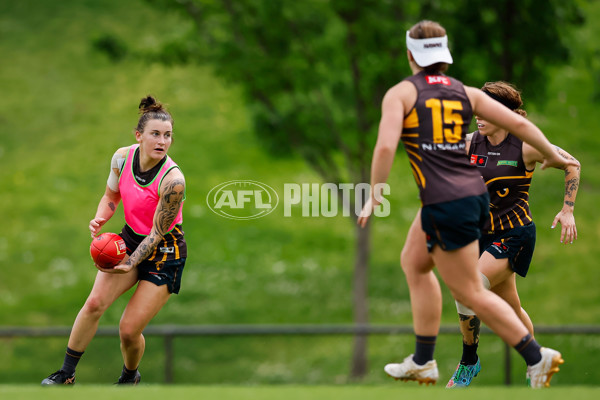 AFLW 2024 Training - Hawthorn 171024 - A-55323263