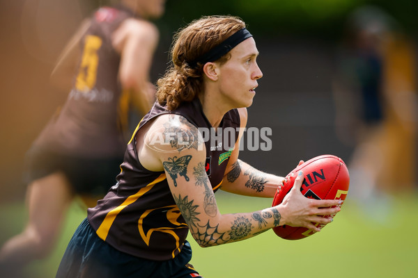 AFLW 2024 Training - Hawthorn 171024 - A-55323266