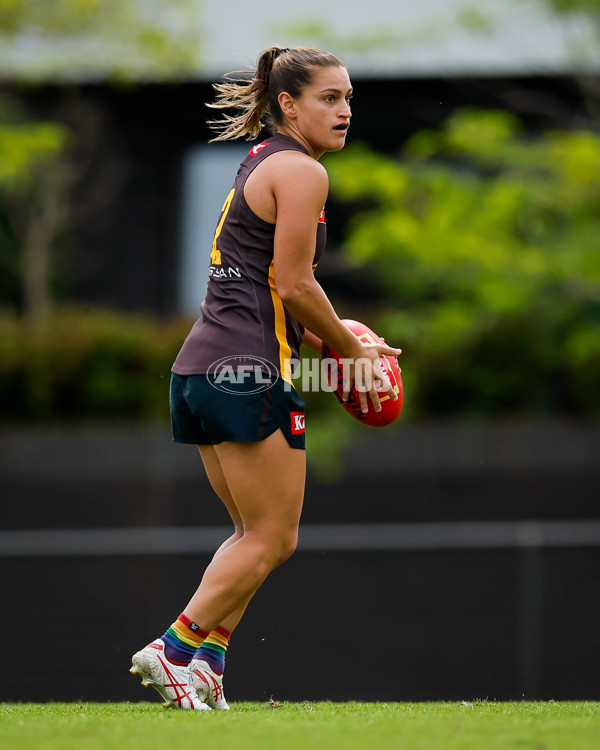 AFLW 2024 Training - Hawthorn 171024 - A-55323267