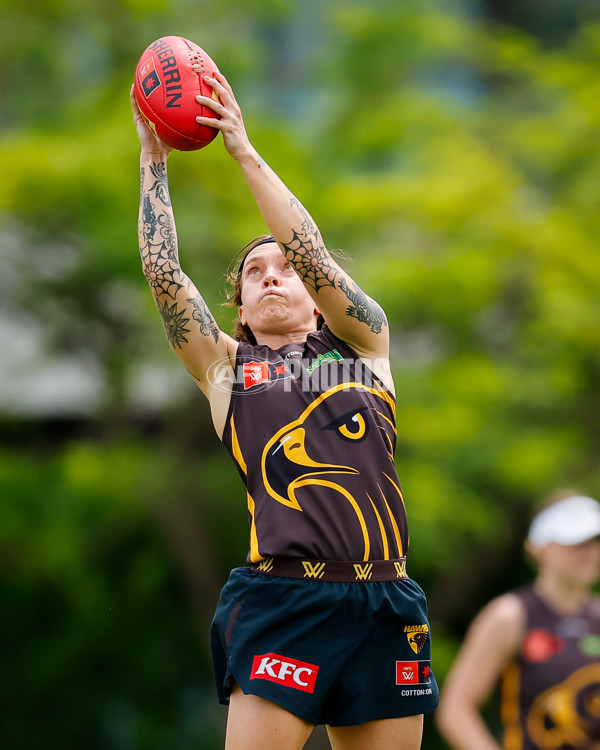 AFLW 2024 Training - Hawthorn 171024 - A-55323269