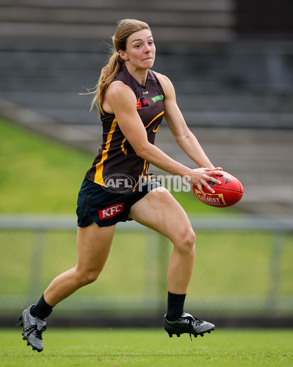 AFLW 2024 Training - Hawthorn 171024 - A-55323321