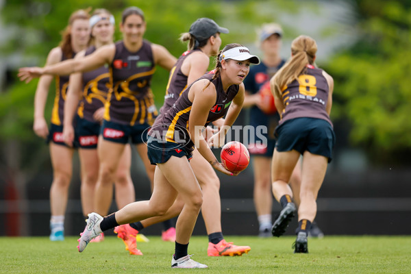 AFLW 2024 Training - Hawthorn 171024 - A-55324587