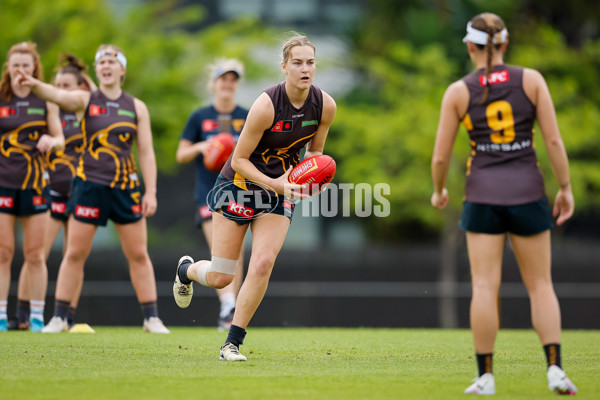 AFLW 2024 Training - Hawthorn 171024 - A-55324592