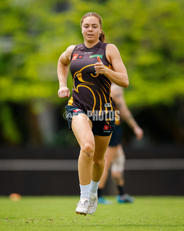 AFLW 2024 Training - Hawthorn 171024 - A-55324595