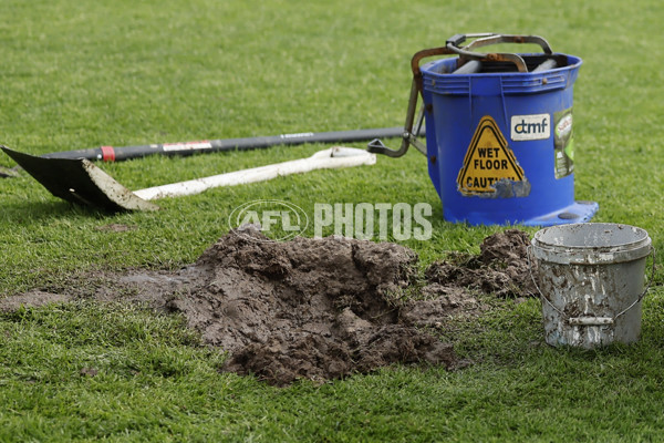 AFLW 2024 Round 08 - Collingwood v Adelaide - A-55378978