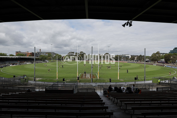 AFLW 2024 Round 08 - Collingwood v Adelaide - A-55380961