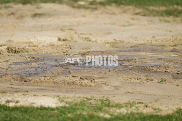 AFLW 2024 Round 08 - Collingwood v Adelaide - A-55380996