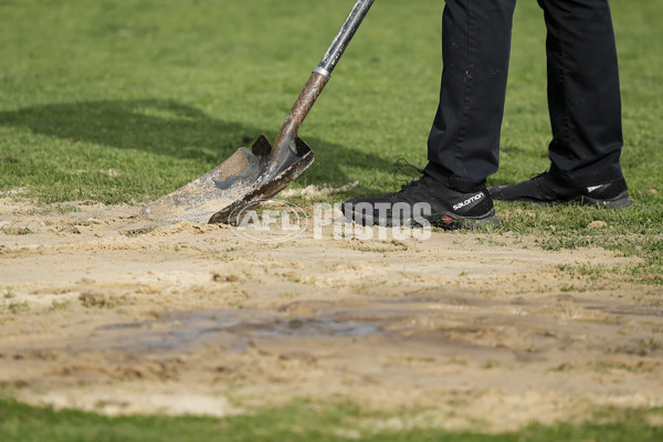 AFLW 2024 Round 08 - Collingwood v Adelaide - A-55381786