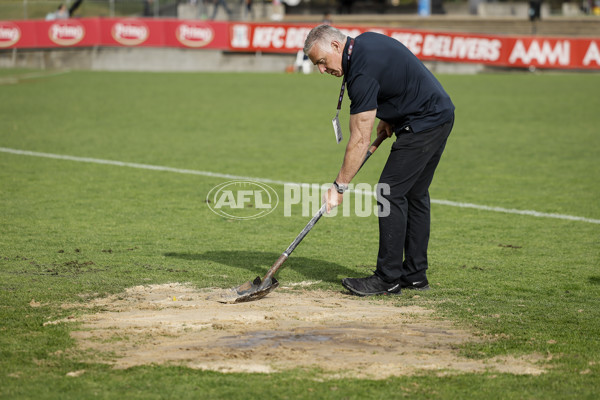 AFLW 2024 Round 08 - Collingwood v Adelaide - A-55381787