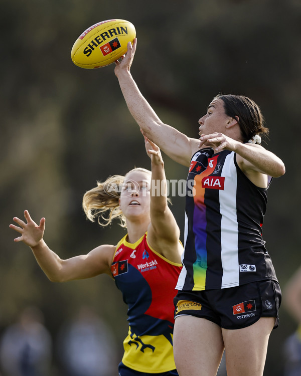 AFLW 2024 Round 08 - Collingwood v Adelaide - A-55381833
