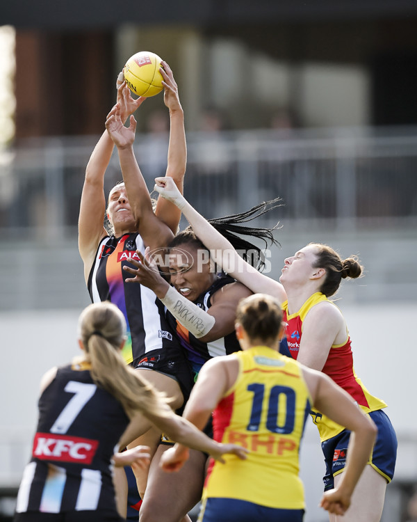 AFLW 2024 Round 08 - Collingwood v Adelaide - A-55383669