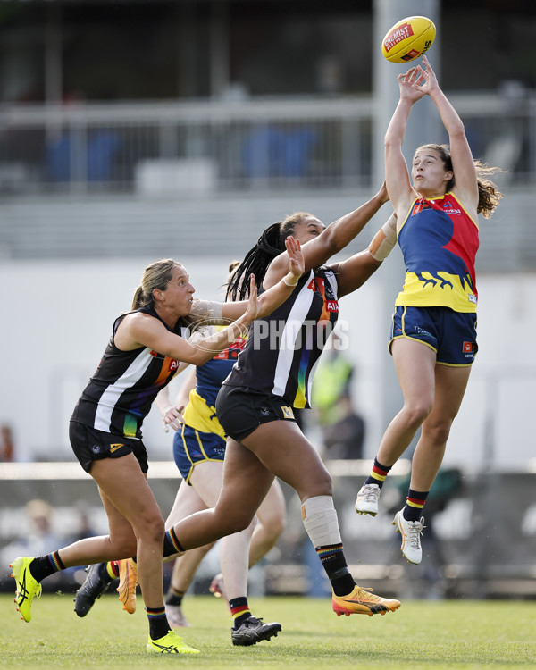 AFLW 2024 Round 08 - Collingwood v Adelaide - A-55383671