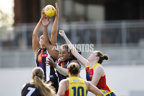 AFLW 2024 Round 08 - Collingwood v Adelaide - A-55383674