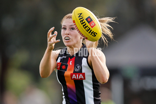 AFLW 2024 Round 08 - Collingwood v Adelaide - A-55386385