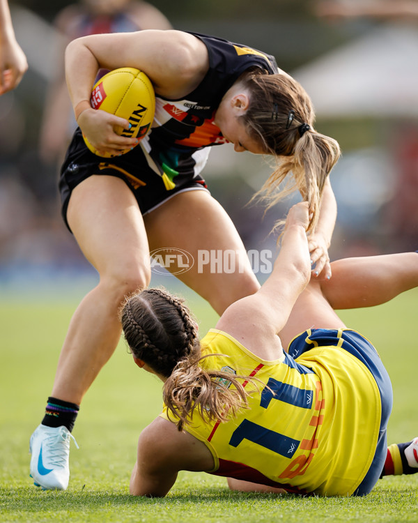 AFLW 2024 Round 08 - Collingwood v Adelaide - A-55386386