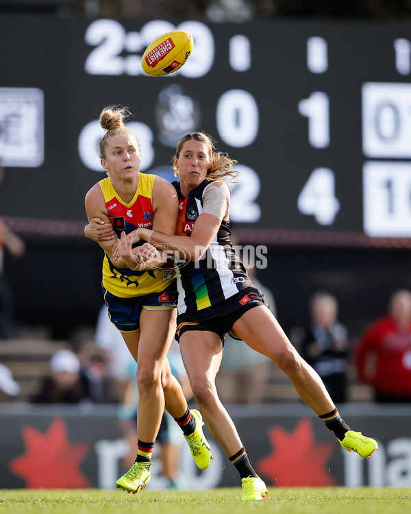 AFLW 2024 Round 08 - Collingwood v Adelaide - A-55387318