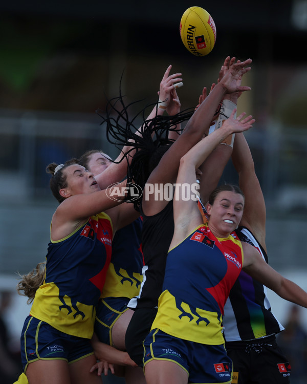 AFLW 2024 Round 08 - Collingwood v Adelaide - A-55390151