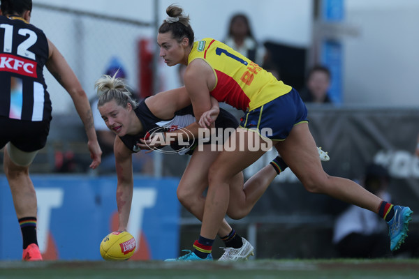 AFLW 2024 Round 08 - Collingwood v Adelaide - A-55391344