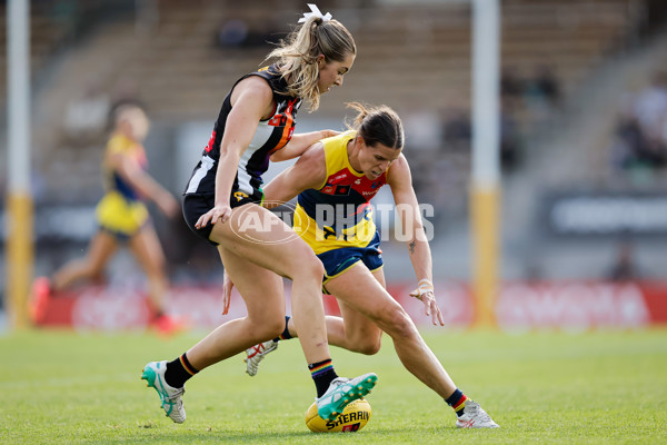 AFLW 2024 Round 08 - Collingwood v Adelaide - A-55391378