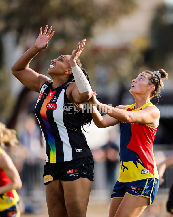 AFLW 2024 Round 08 - Collingwood v Adelaide - A-55391383