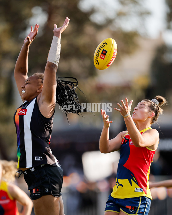 AFLW 2024 Round 08 - Collingwood v Adelaide - A-55391388