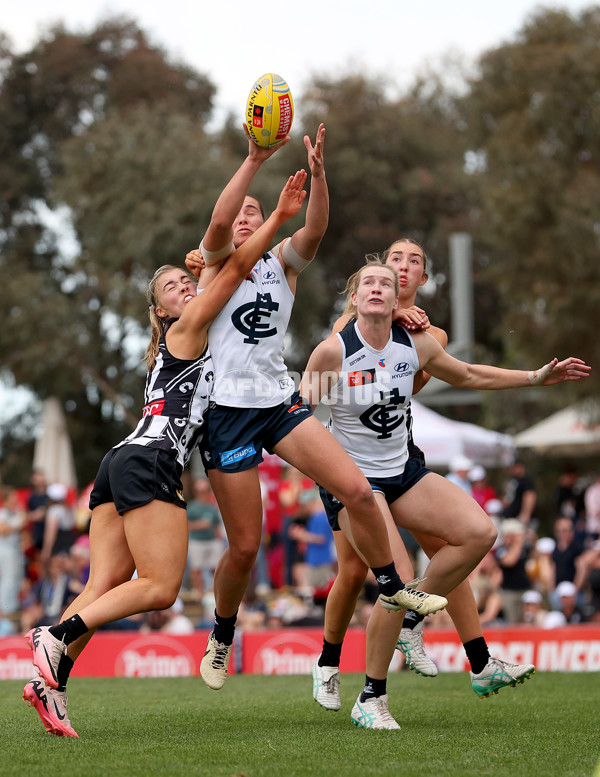 AFLW 2024 Round 09 - Collingwood v Carlton - A-55493400