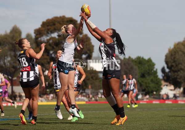 AFLW 2024 Round 09 - Collingwood v Carlton - A-55498293