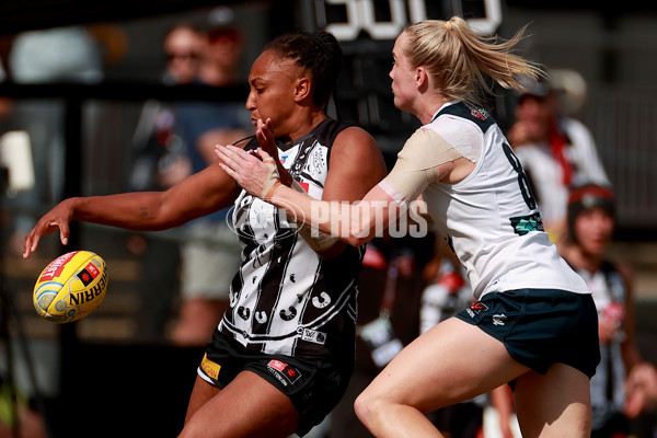 AFLW 2024 Round 09 - Collingwood v Carlton - A-55503861