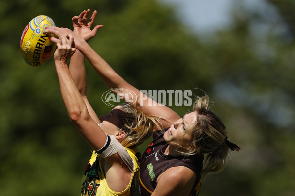 AFLW 2024 Round 10 - Richmond v Hawthorn - A-55585565