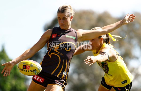 AFLW 2024 Round 10 - Richmond v Hawthorn - A-55586177