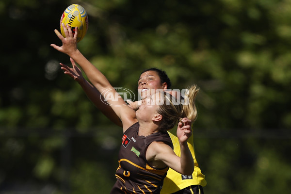 AFLW 2024 Round 10 - Richmond v Hawthorn - A-55588208