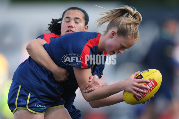 AFLW 2024 First Qualifying Final - North Melbourne v Adelaide - A-55648294