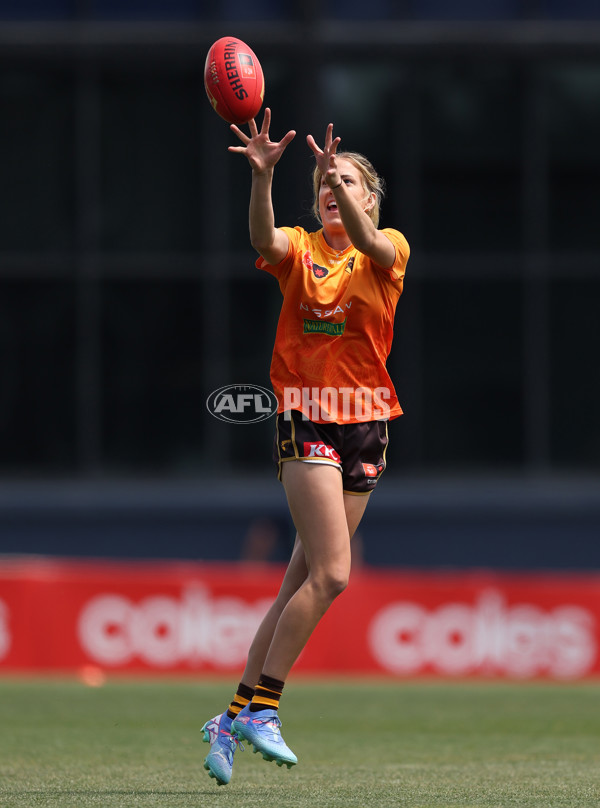 AFLW 2024 Second Qualifying Final - Hawthorn v Brisbane - A-55661279