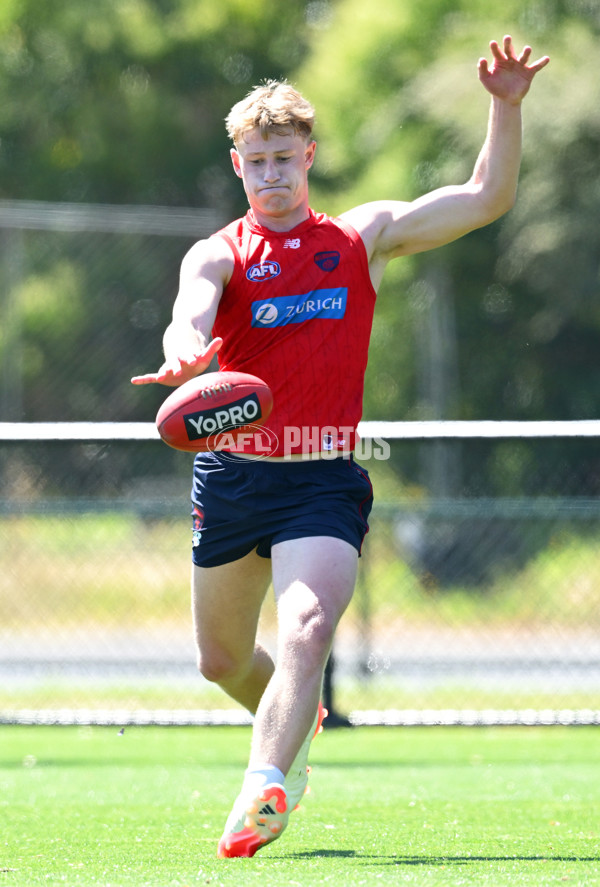 AFL 2024 Training - Melbourne 111124 - A-55673776