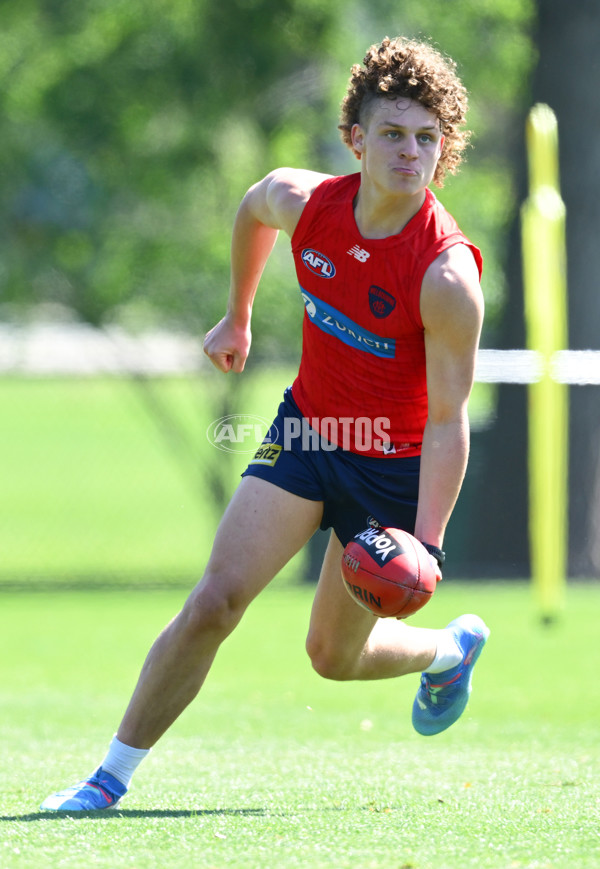 AFL 2024 Training - Melbourne 111124 - A-55673778