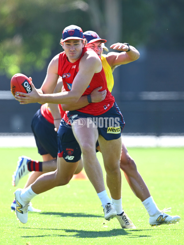 AFL 2024 Training - Melbourne 111124 - A-55674072