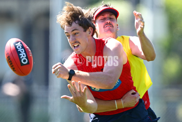 AFL 2024 Training - Melbourne 111124 - A-55674081