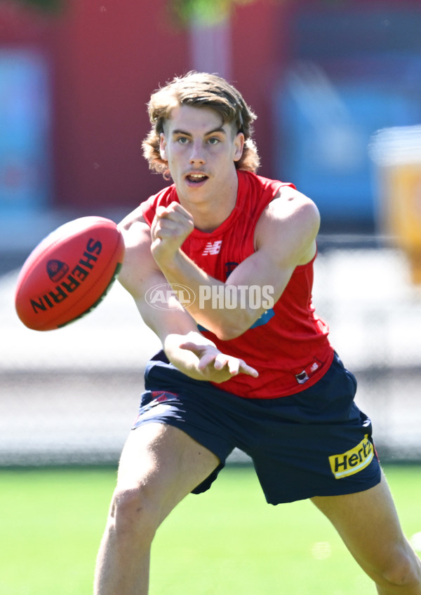 AFL 2024 Training - Melbourne 111124 - A-55674089