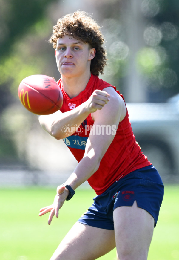 AFL 2024 Training - Melbourne 111124 - A-55674099