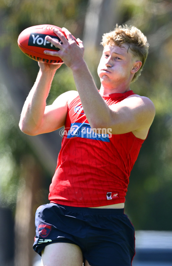 AFL 2024 Training - Melbourne 111124 - A-55674119