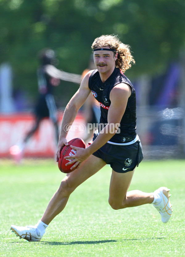 AFL 2024 Training - Collingwood 111124 - A-55687579