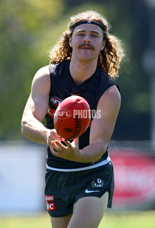 AFL 2024 Training - Collingwood 111124 - A-55687606