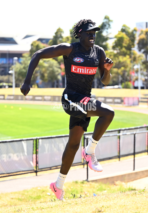 AFL 2024 Training - Collingwood 111124 - A-55687612