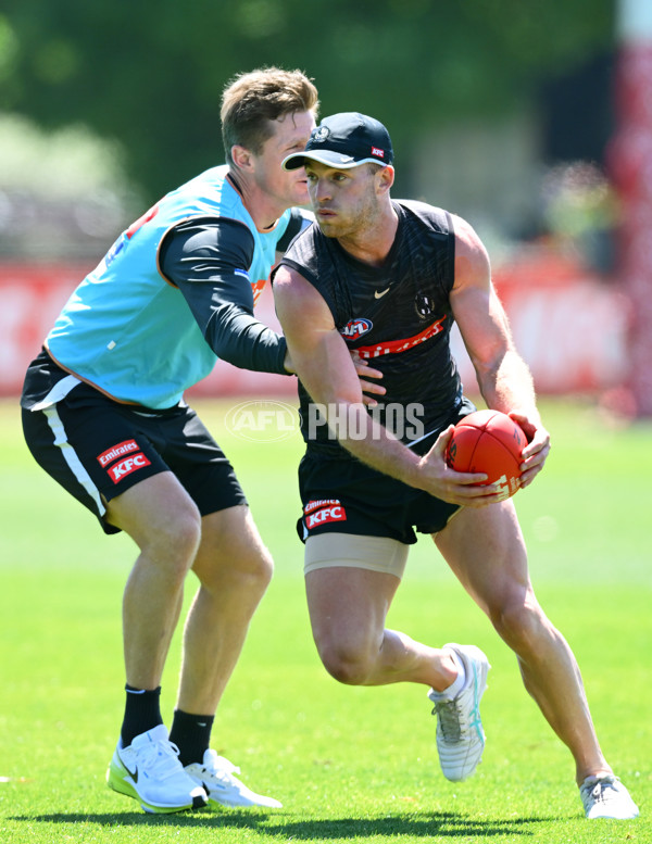 AFL 2024 Training - Collingwood 111124 - A-55687622